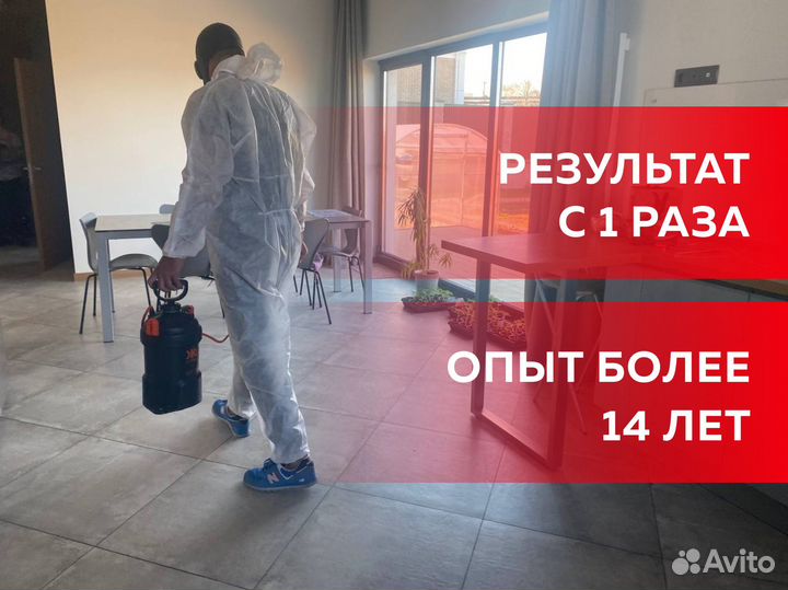 Уничтожение тараканов, клопов, клещей, мышей, блох