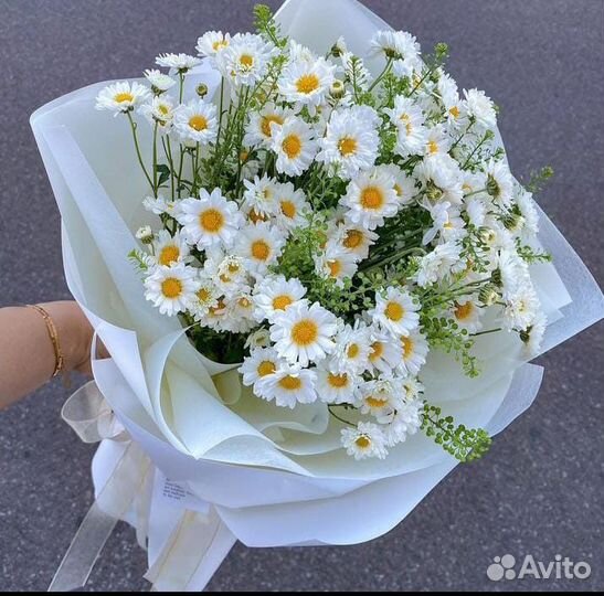 Растения цветы