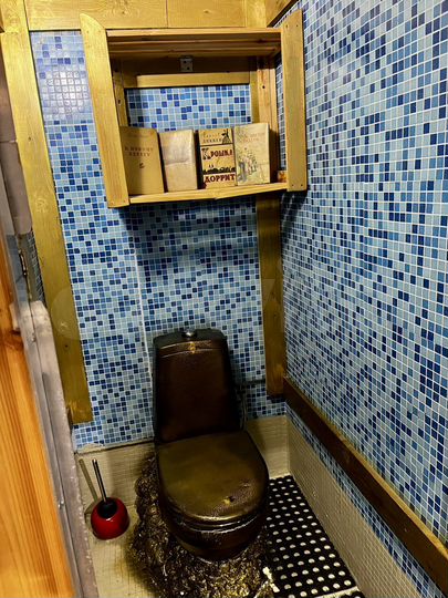 Дом 75 м² на участке 67 сот.