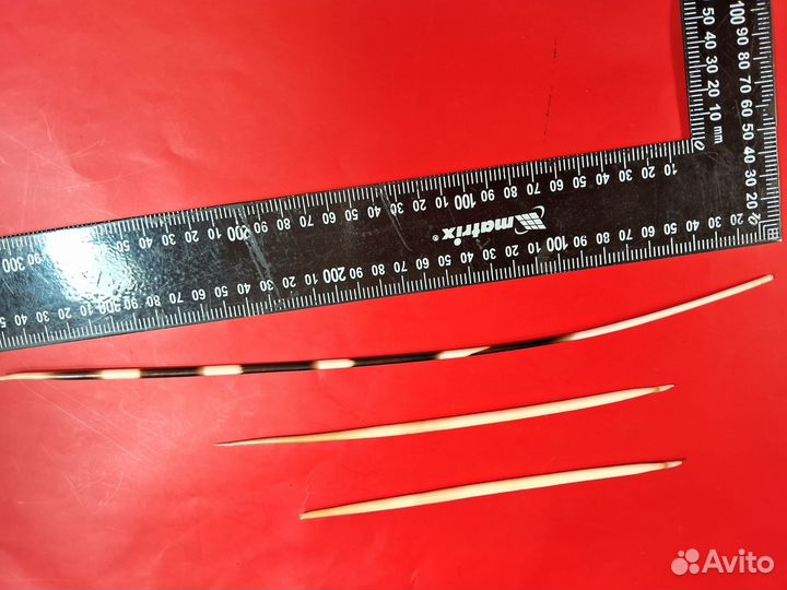 Иглы дикобраза. Ракушка рапан