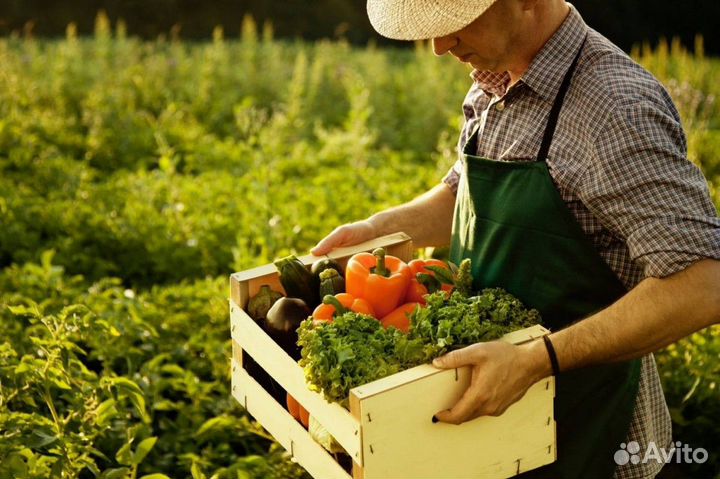 Грузчик\сборщик