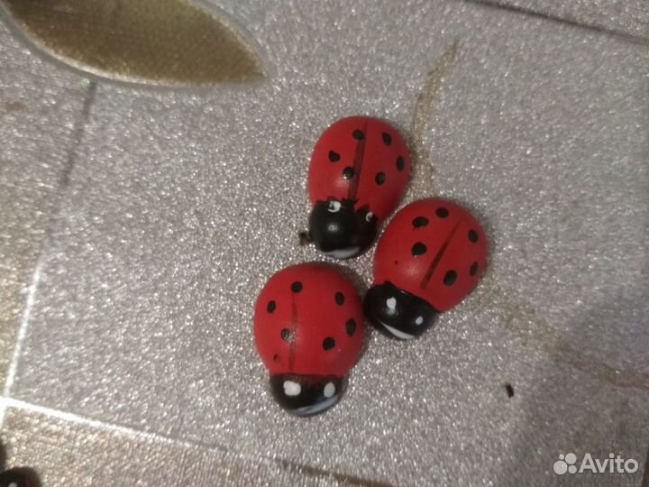 Божьи коровки