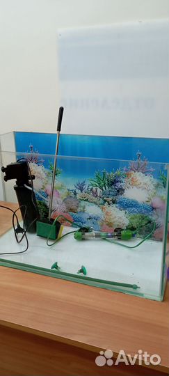 Аквариум