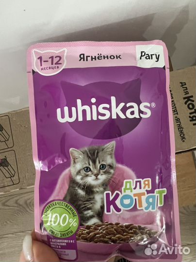Влажный корм для котят whiskas ягненок рагу