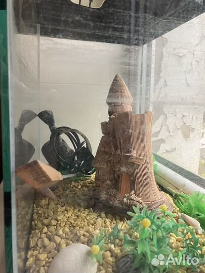 Аквариум