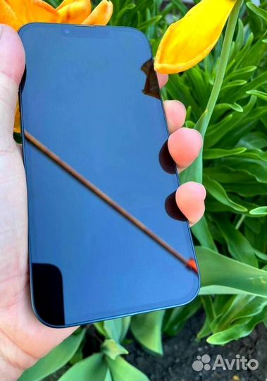 iPhone 13, 256 ГБ