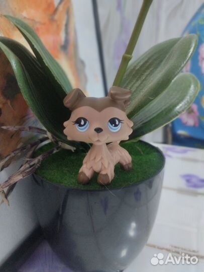 Lps оригинал