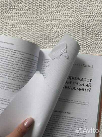 Идеальный руководитель Ицхак Адизес