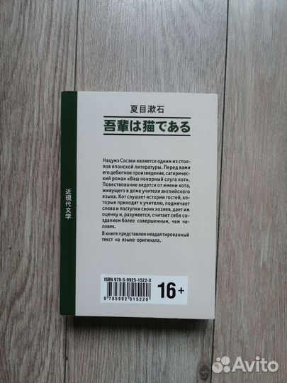 Нацумэ Сосэки. Японский роман