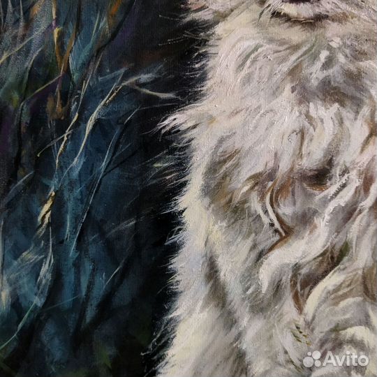 Белый кот картина маслом на холсте 40х60 см