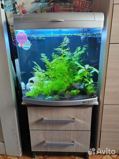 Аквариум