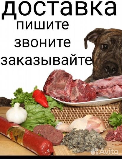 Натуральное питание для собак