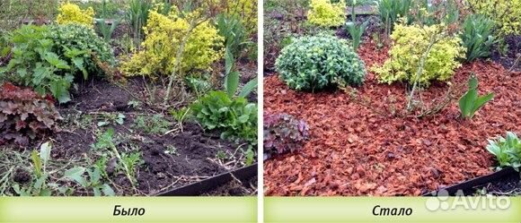 Мульча (кора лиственницы)