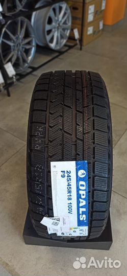 Opals SilverSnow F9 225/55 R16