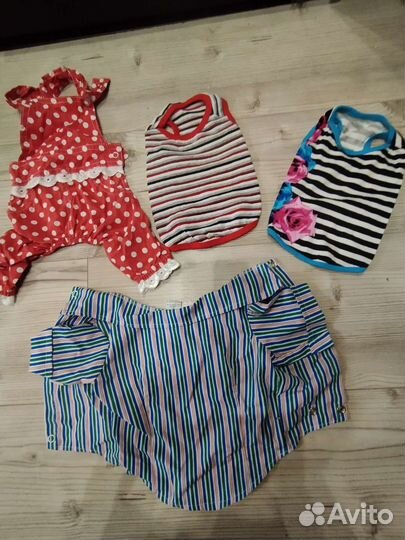 Одежда для собачек пакетом