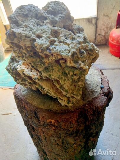 Песчаник для аквариума