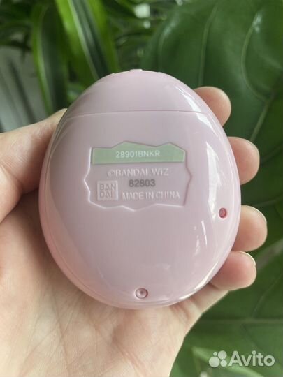 Тамагочи Some Pink