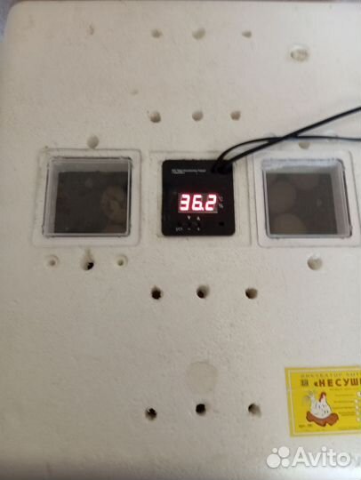 Инкубатор для яиц автоматический несушка 63