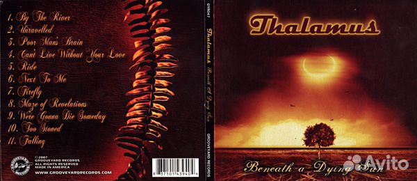 Thalamus - Beneath A Dying Sun (1 CD)