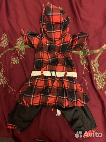 Костюм для собаки