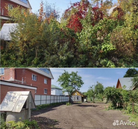 Расчистка участка от деревьев и кустарников