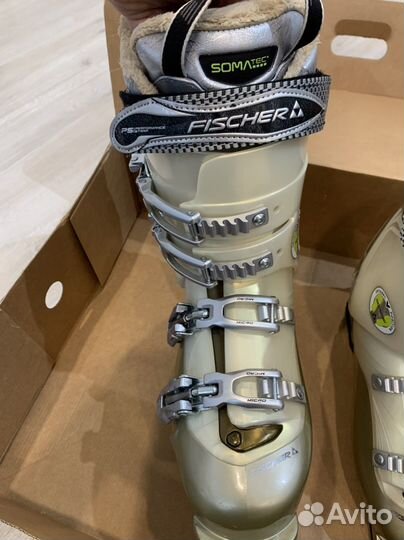 Горнолыжные ботинки fischer vision 65