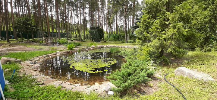 Участок 50 сот. (ИЖС)