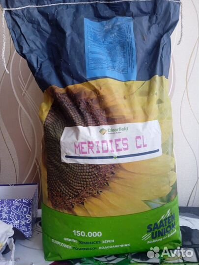 Семена подсолнечника гибрид meridies