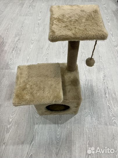 Когтеточка