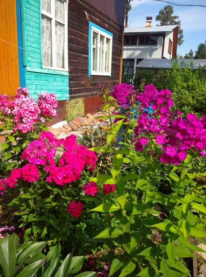 Дача 60 м² на участке 6 сот.