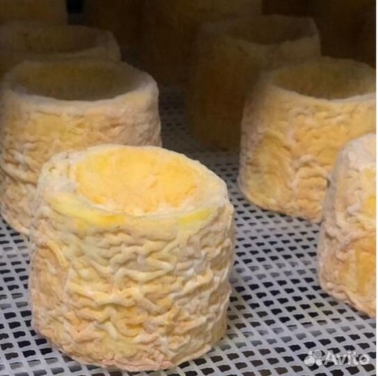 Сыры из российских сыроварен. От Москвы до Урала