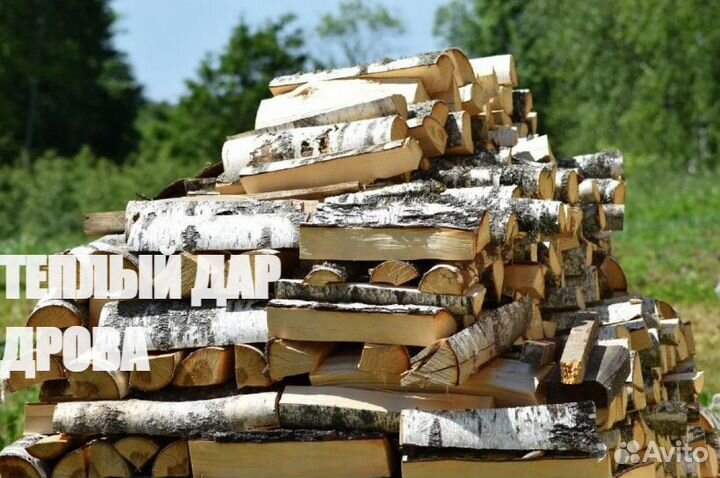 Дрова сухие