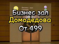 Проход в бизнес зал домодедова