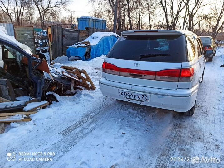 Виста Ардео в разбор