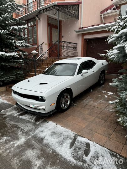 Dodge Challenger 3.6 AT, 2020, 38 804 км