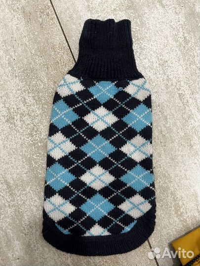 Одежда для собак