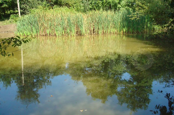 Участок 30 сот. (ИЖС)