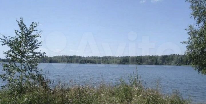 Участок 60 га (ИЖС)