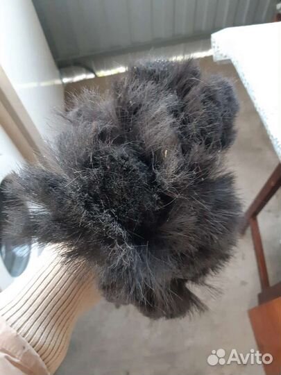 Грива лошади