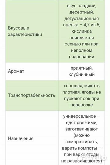 Рассада ремонтантной клубники Елизавета 2
