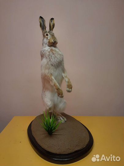 Заяц имитация