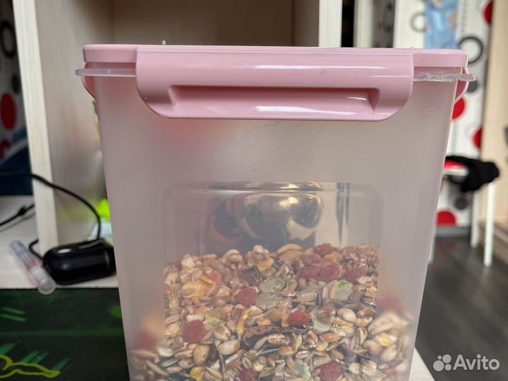 Контейнер с кормом для крыс