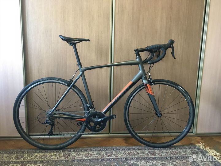 Giant Contend 1 (Ростовка L 183-193 cm)