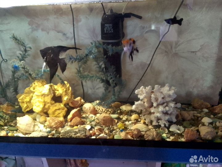 Аквариум