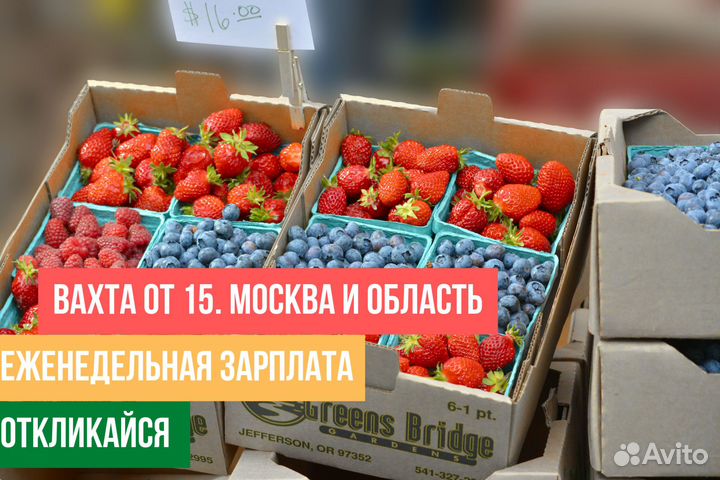 Упаковщик/ фасовщик /клубники/москва