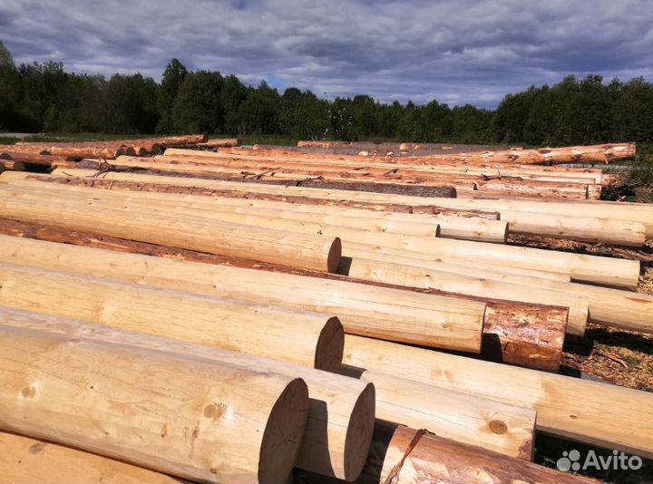 Сруб дома бани строительство