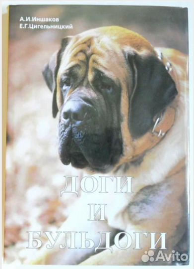 Книги новые