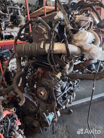 Двигатель BLS 1.9TDI Audi, Volkswagen, Skoda, Seat