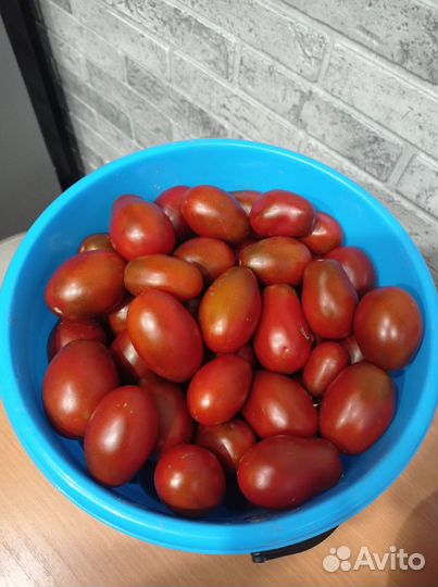 Помидоры