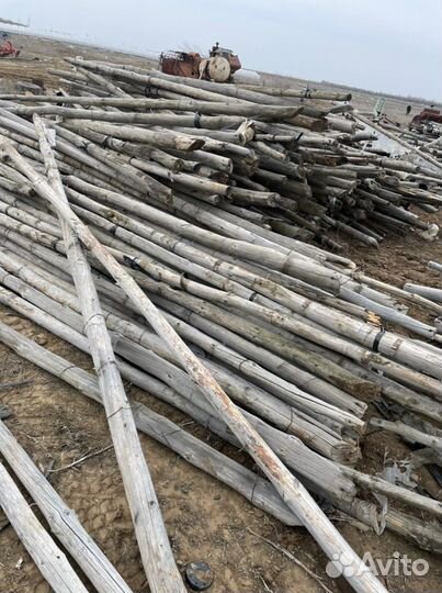 Кругляк дерево